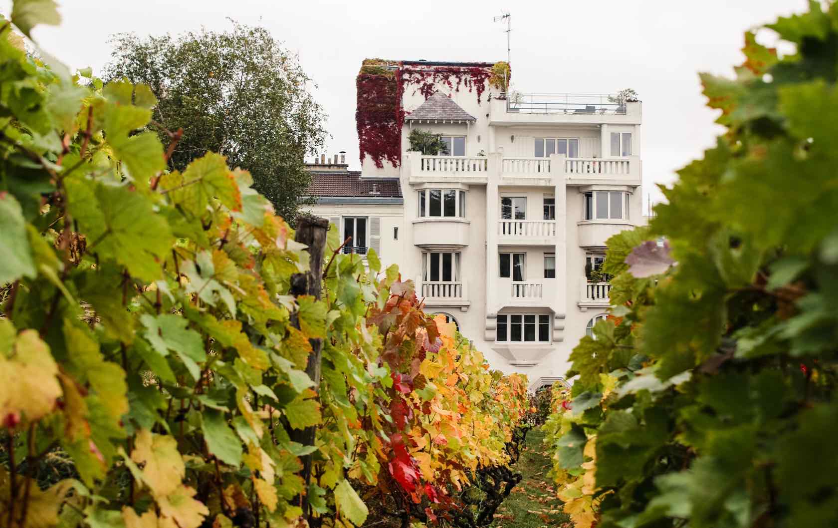 Offbeat Things to See in Paris Le Clos Montmartre