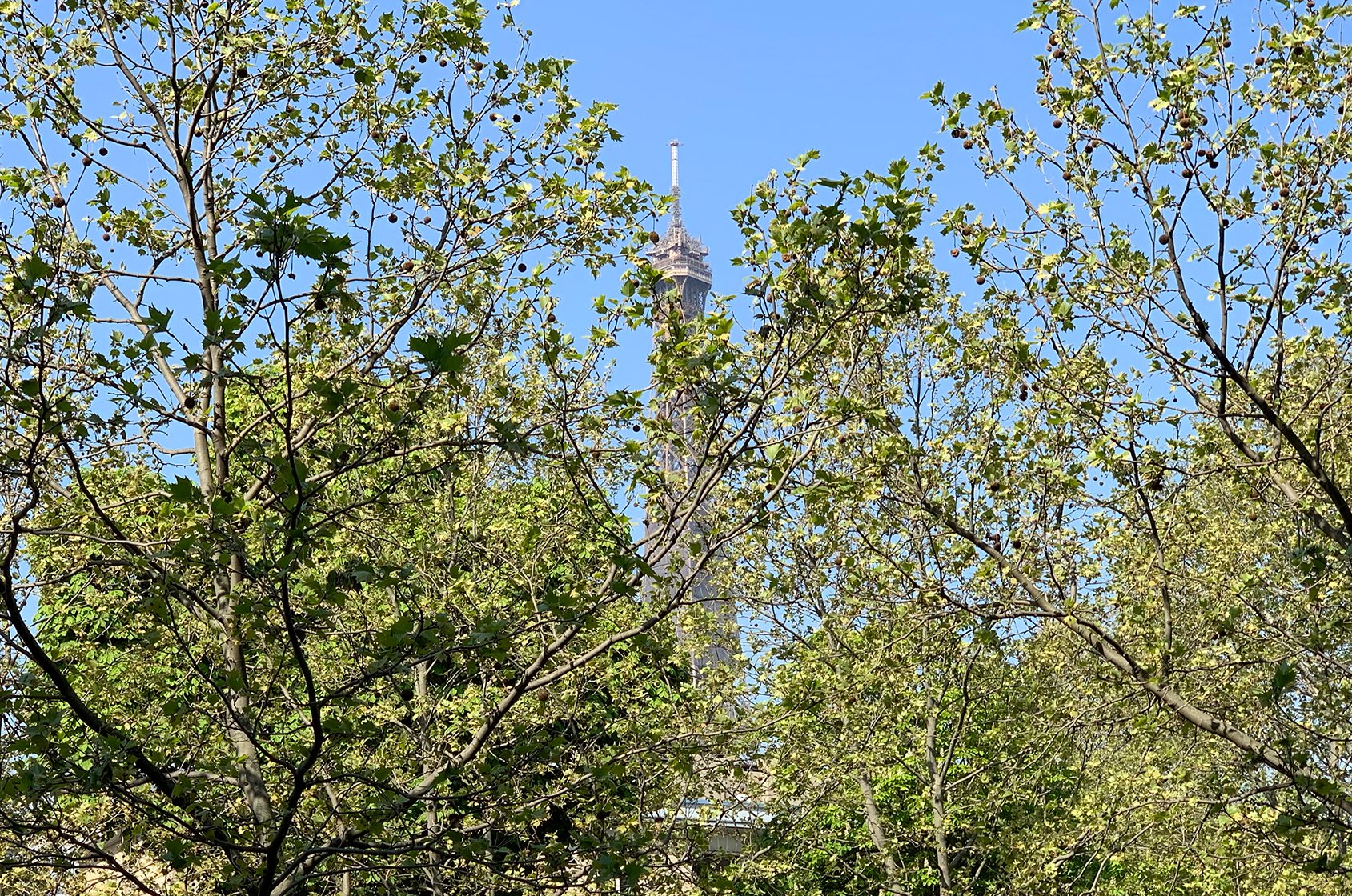 Eiffel Tower view from Beaujolais