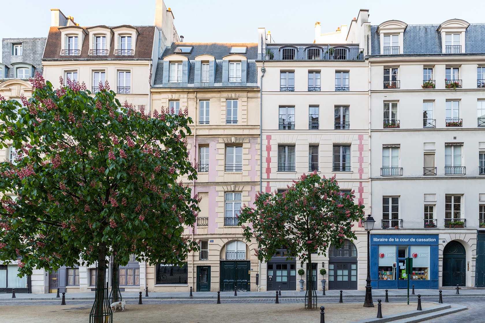 La Place Dauphine