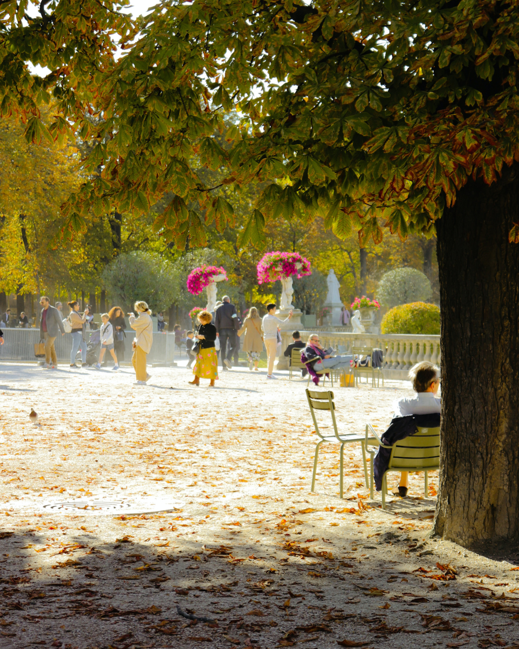 Paris autumn