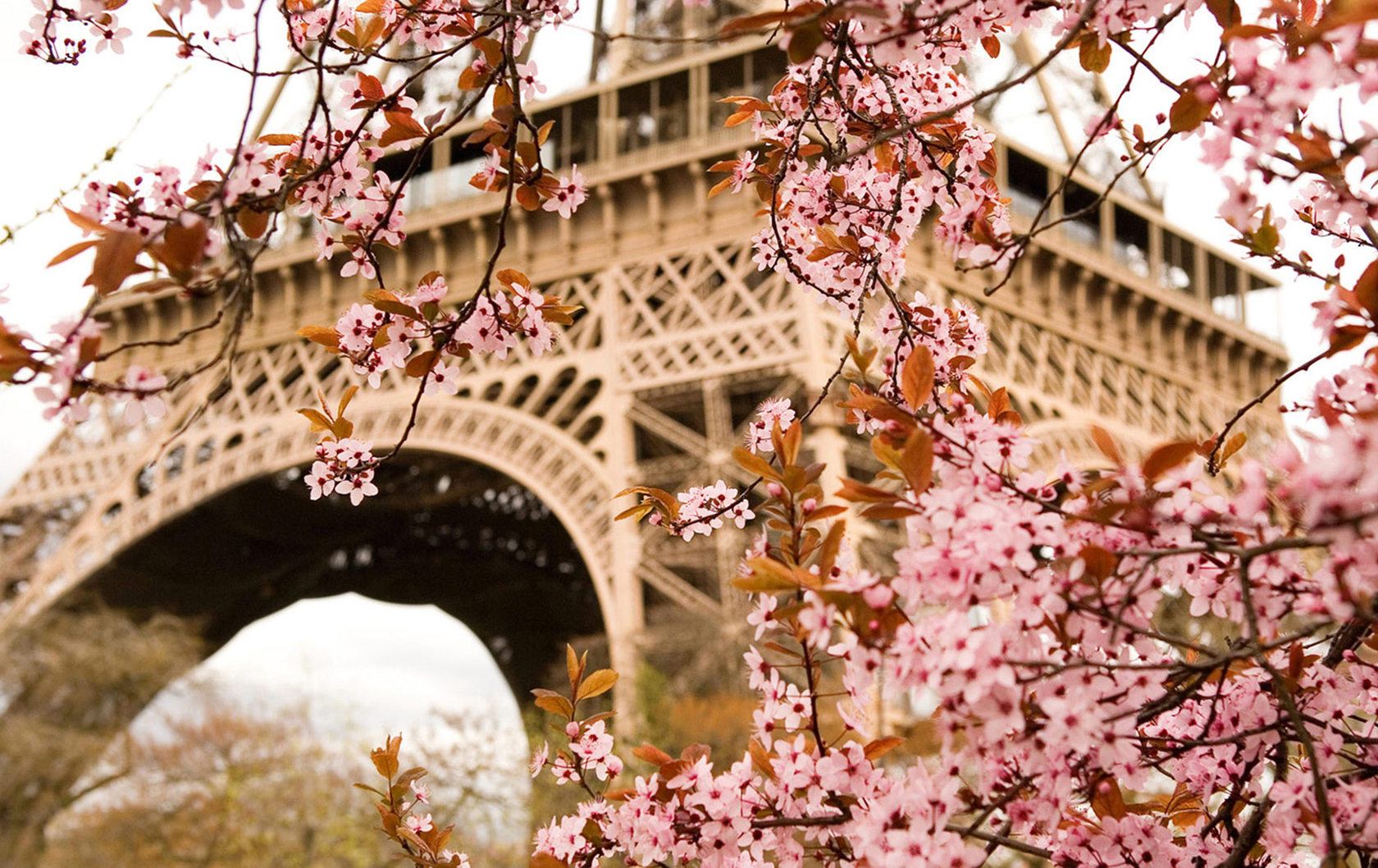 Celebrate Book Direct Day with a Free Night in Paris this April!