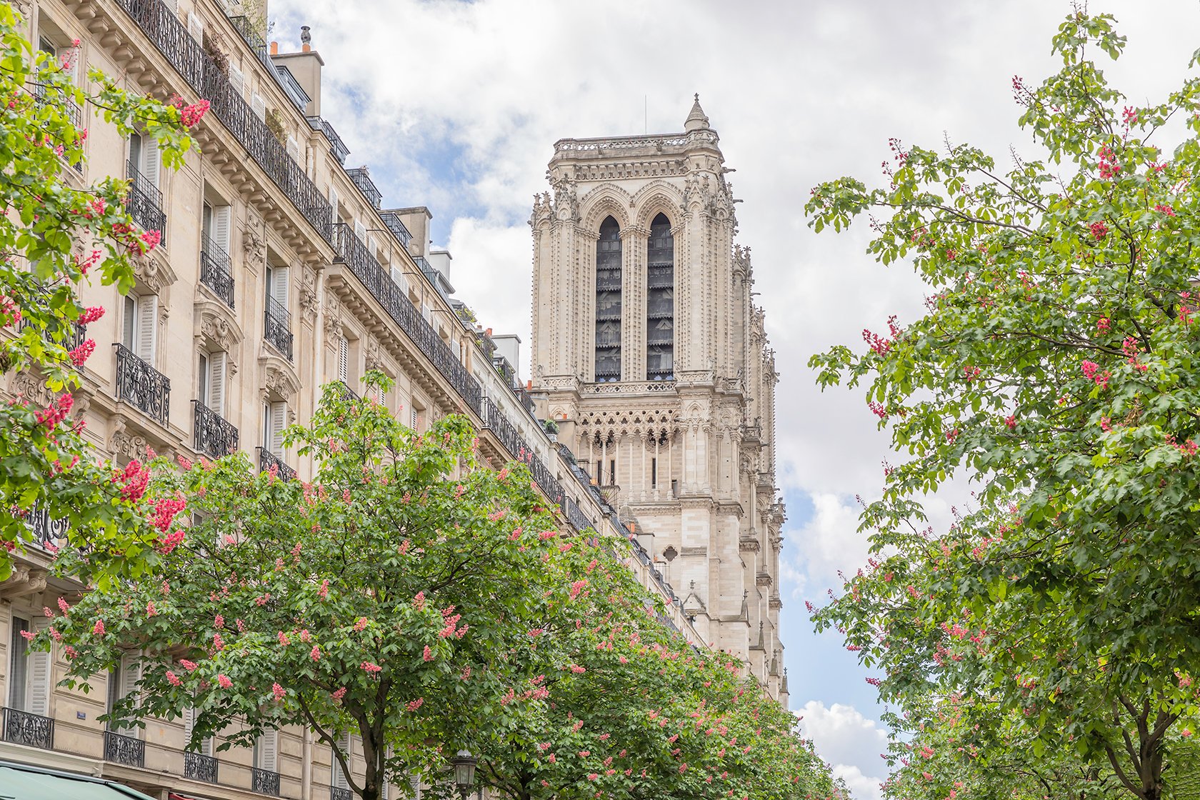 Location de vacances Notre Dame Paris