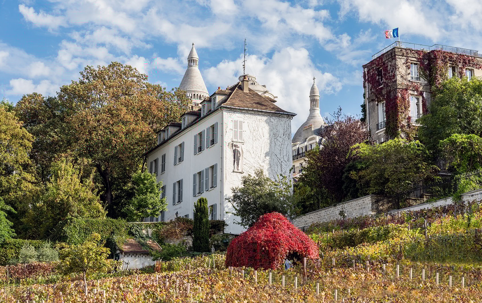 Fête des Vendanges