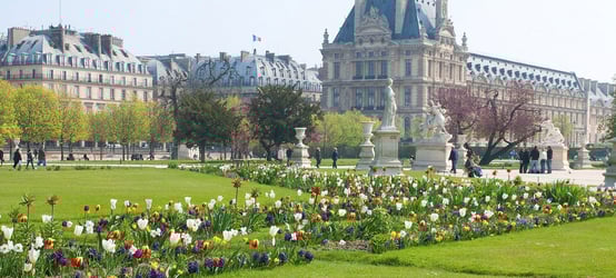 5 Wonderful Walks in Paris