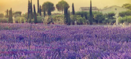 See the French Riviera & Provence in 2023!