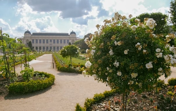 Jardin des Plantes