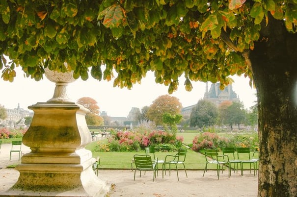 Celebrate the Changing of Seasons with a Paris Picnic!
