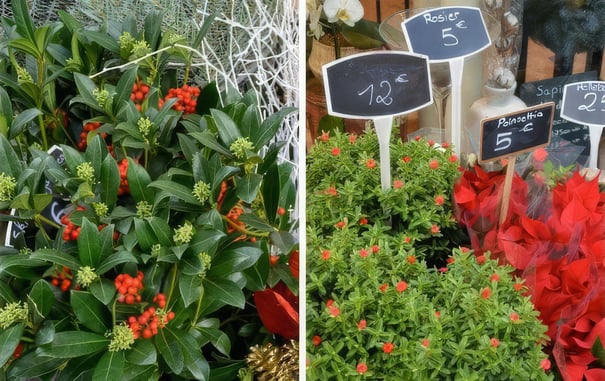 Christmas Charm in the 7th Arrondissement