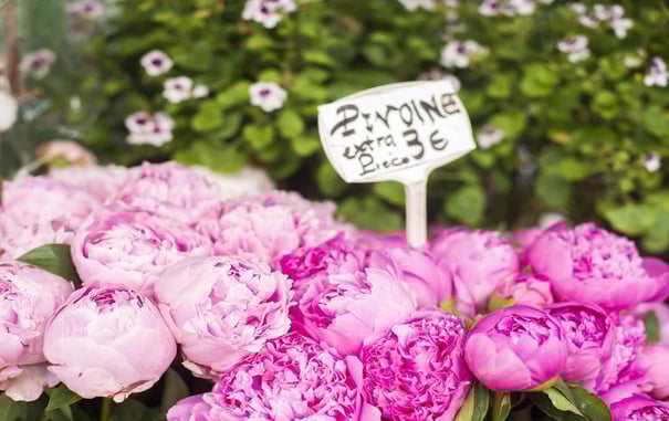 Paris Florists: Discovering French Flower Traditions