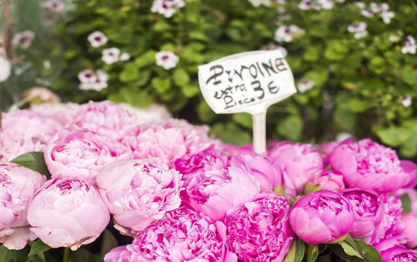 Paris Florists: Discovering French Flower Traditions