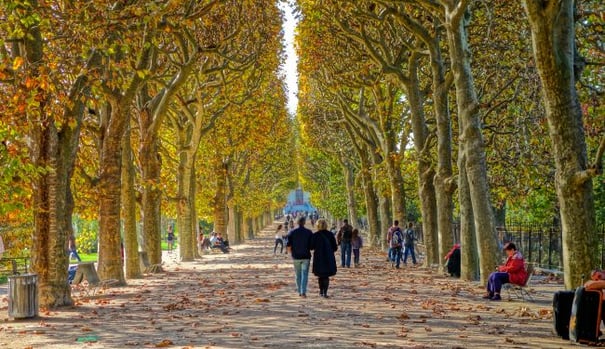 Falling for the City of Light: 5 Reasons to Visit Paris in Fall