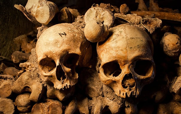Braving The Catacombs And The Dark Underworld Of Paris