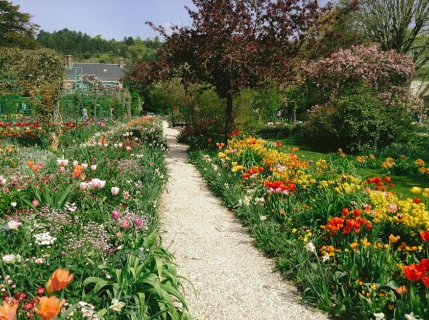 Why You Simply Must See the Tulip Season at Giverny – A Floral Wonderland!