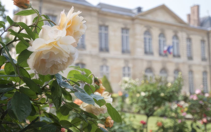 Now is the Perfect Time to See the Rodin Museum Garden