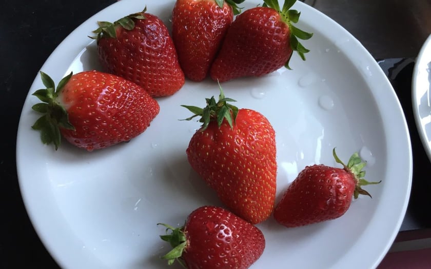 Maddy’s Quest for the Very Best Strawberries in France