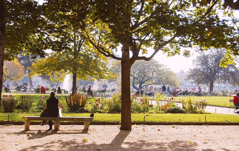 Top 5 Parks and Gardens In Paris
