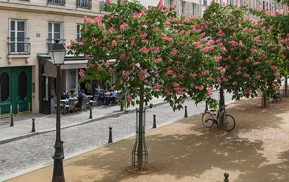 Place Dauphine