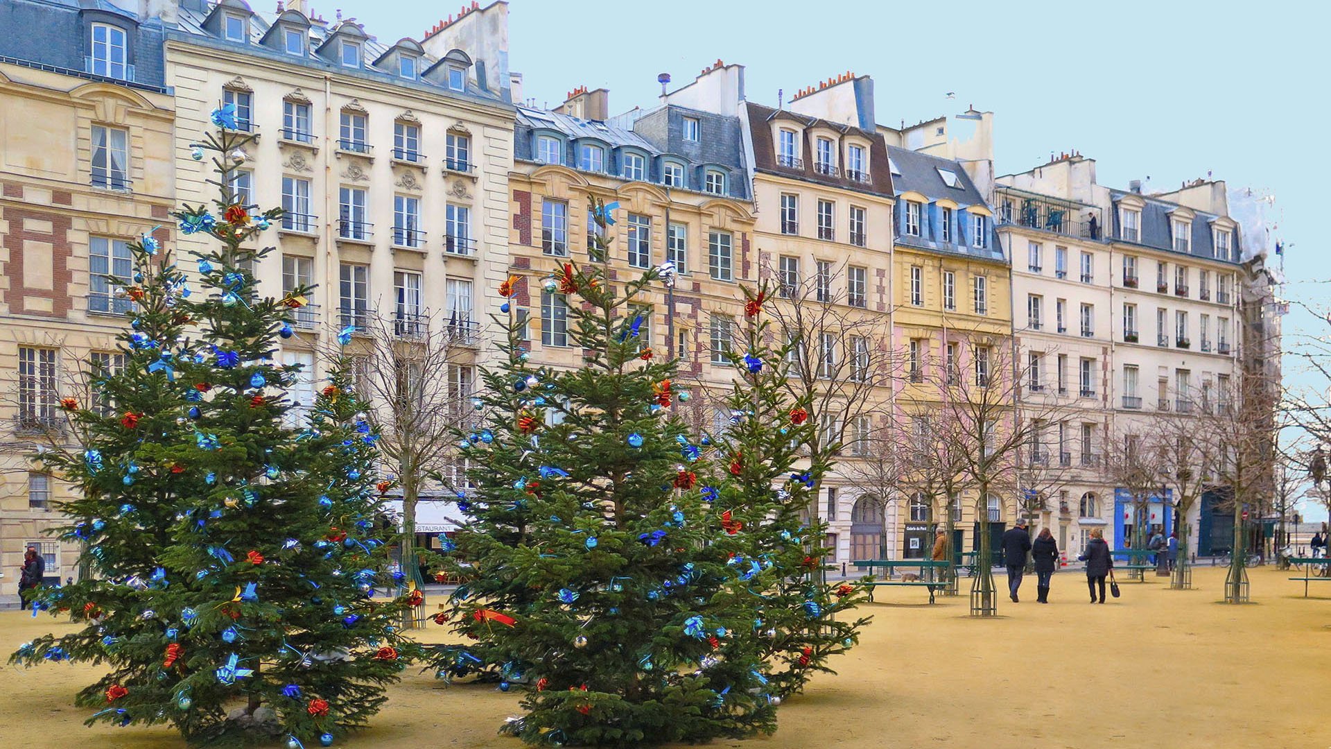 Christmas Early Bird Sale