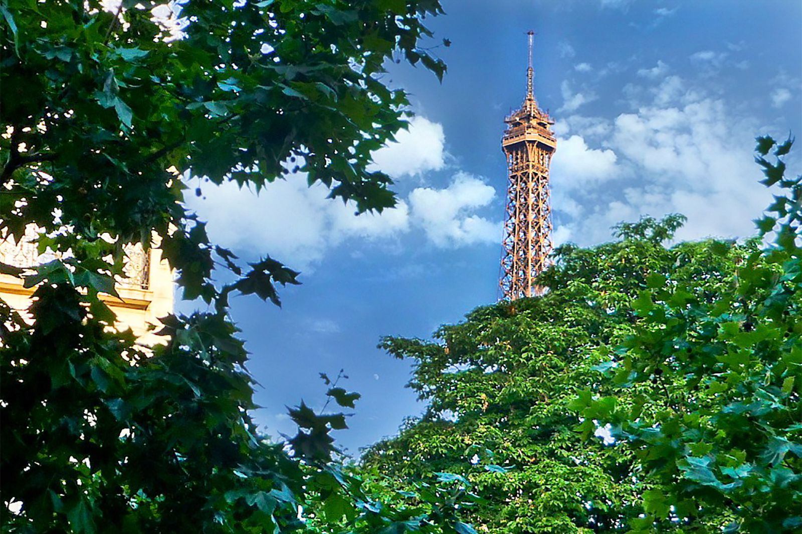  Spot the Eiffel Tower from the living room and kitchen windows